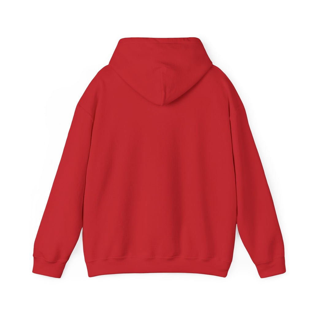 Abstract Wrestlers Hoodie — Artistic Sports Painting Pullover