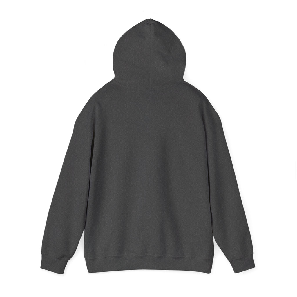 Abstract Wrestlers Hoodie — Artistic Sports Painting Pullover