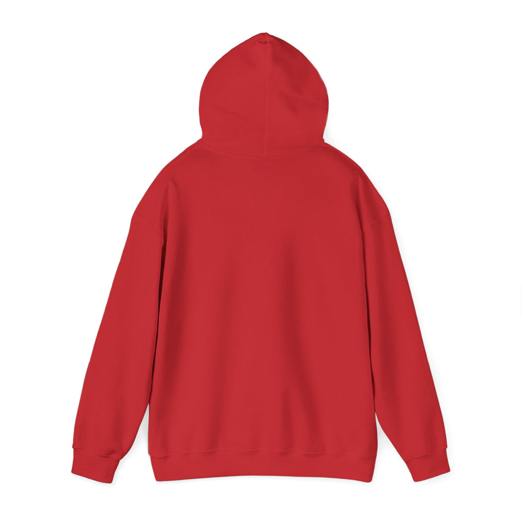 Abstract Wrestlers Hoodie — Artistic Sports Painting Pullover